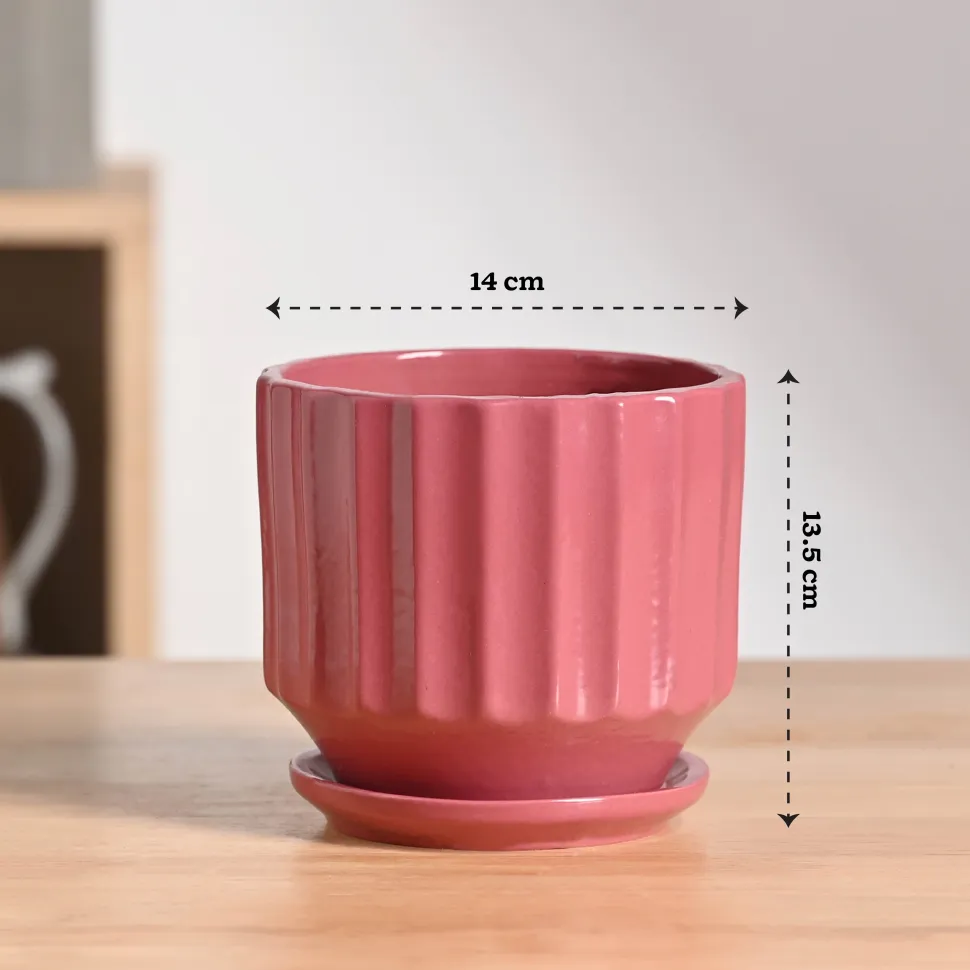 Frosted Ceramic Pot