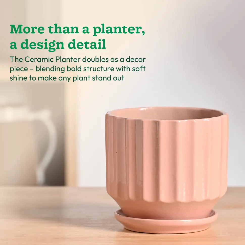 Frosted Ceramic Pot