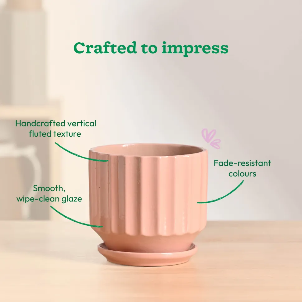 Frosted Ceramic Pot