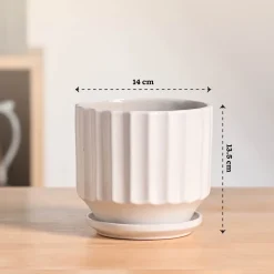 Frosted Ceramic Pot