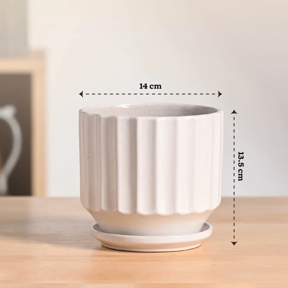 Frosted Ceramic Pot