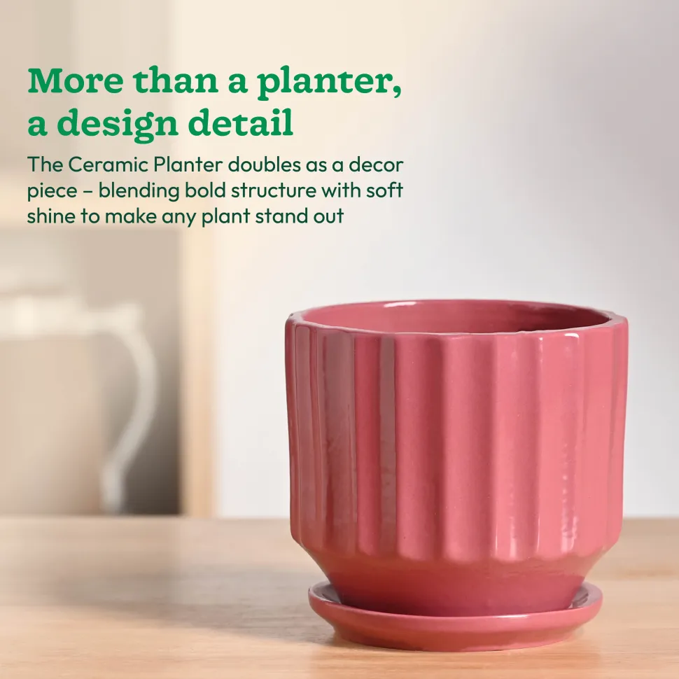 Frosted Ceramic Pot