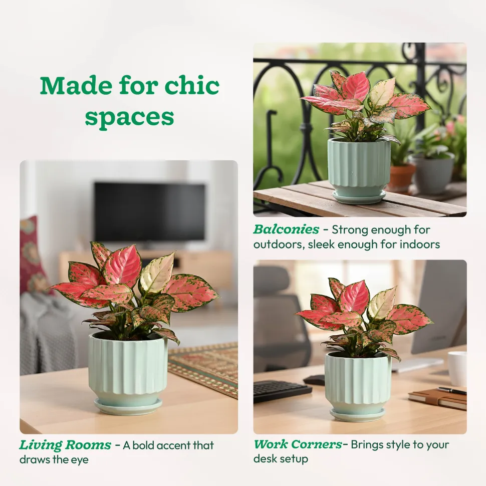 Frosted Ceramic Pot