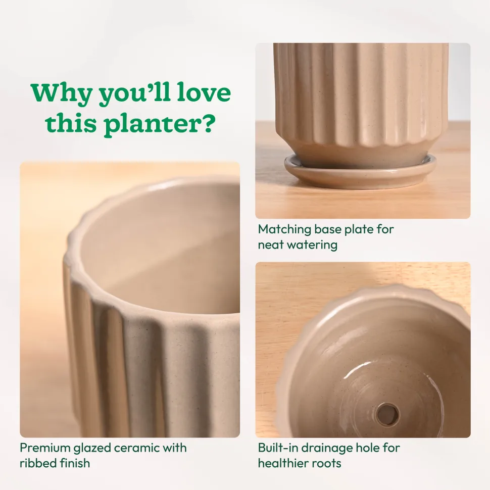 Frosted Ceramic Pot