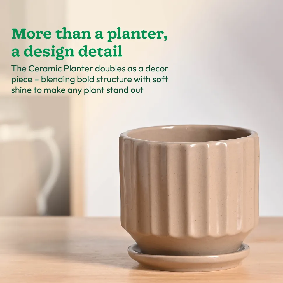 Frosted Ceramic Pot