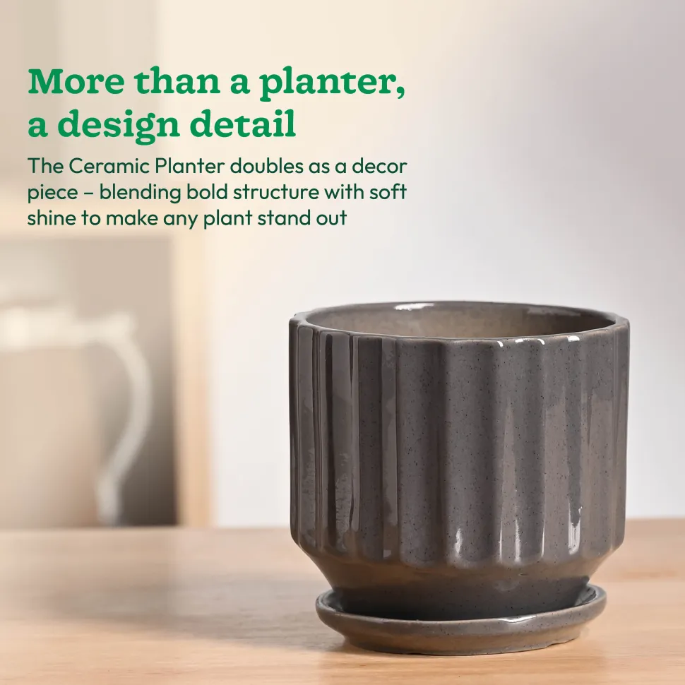 Frosted Ceramic Pot
