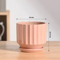 Frosted Ceramic Pot