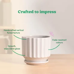 Frosted Ceramic Pot