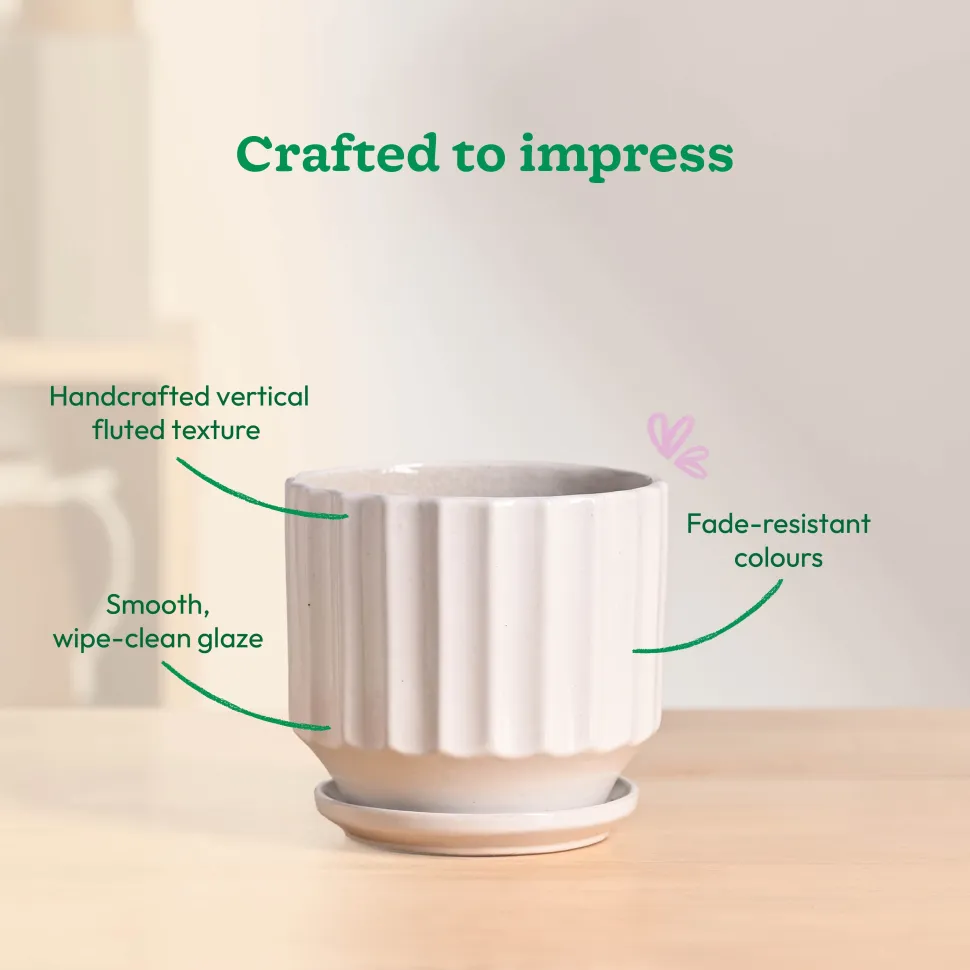 Frosted Ceramic Pot