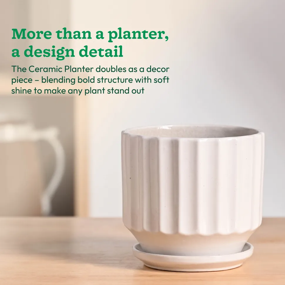 Frosted Ceramic Pot