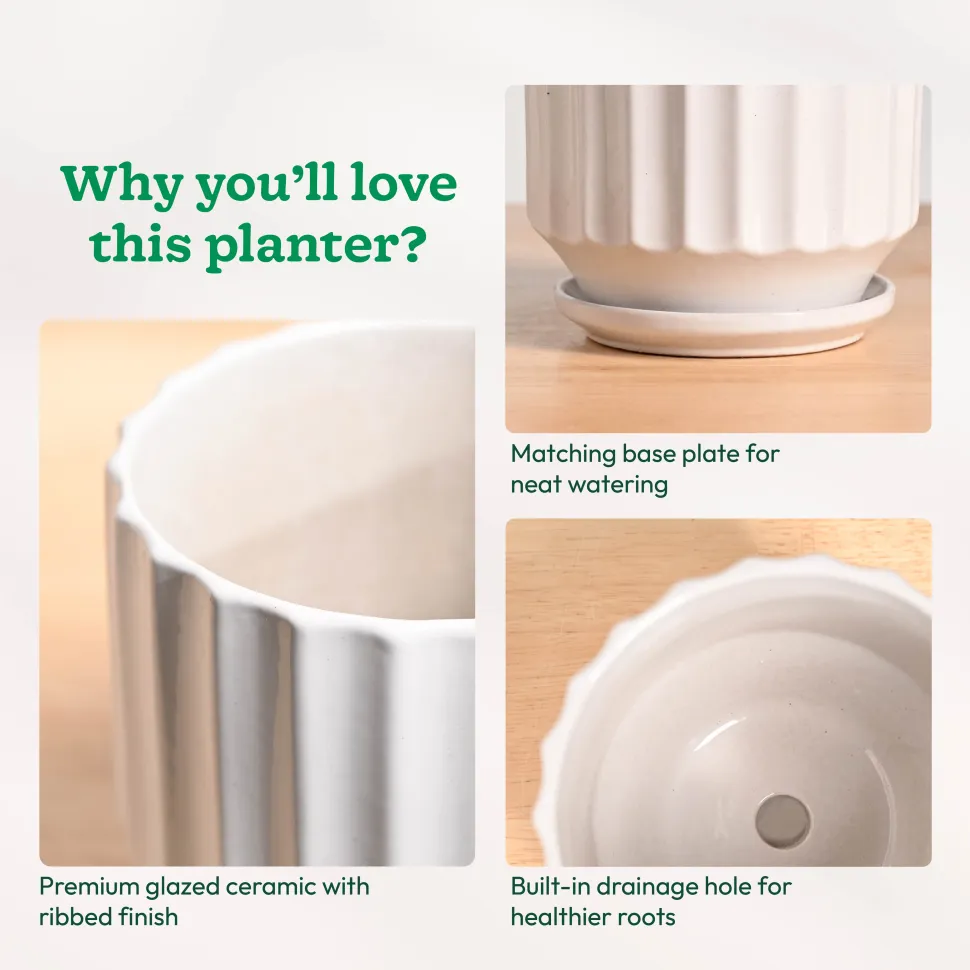 Frosted Ceramic Pot