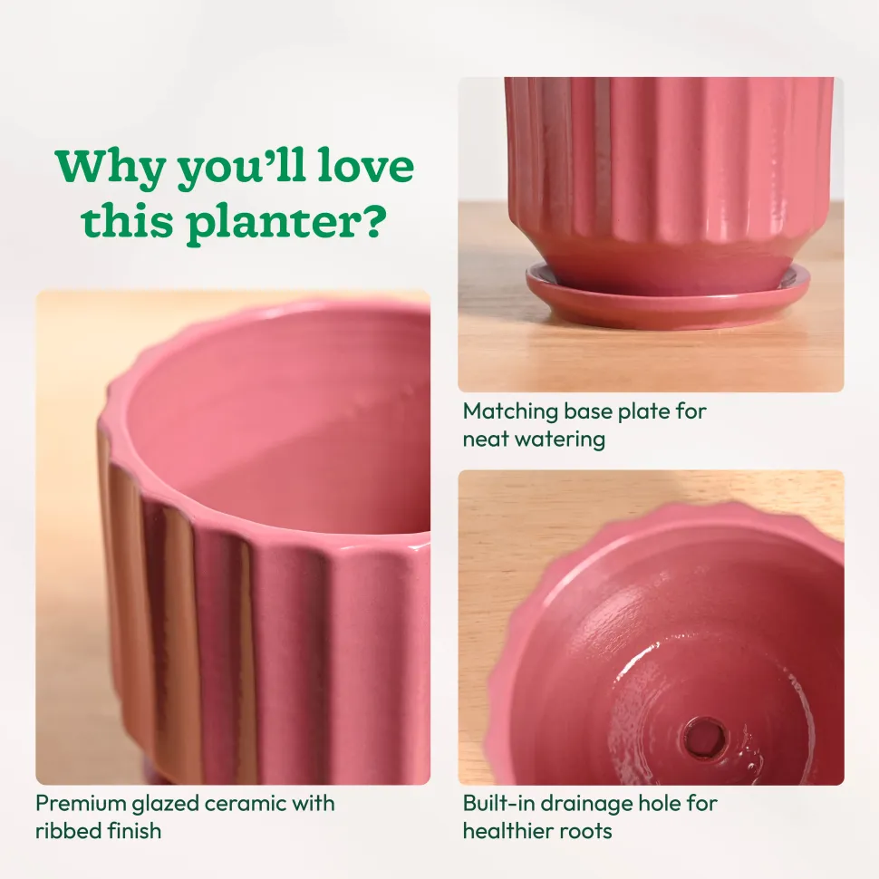 Frosted Ceramic Pot