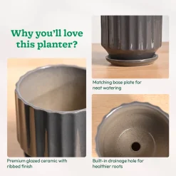 Frosted Ceramic Pot