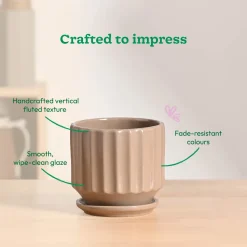Frosted Ceramic Pot