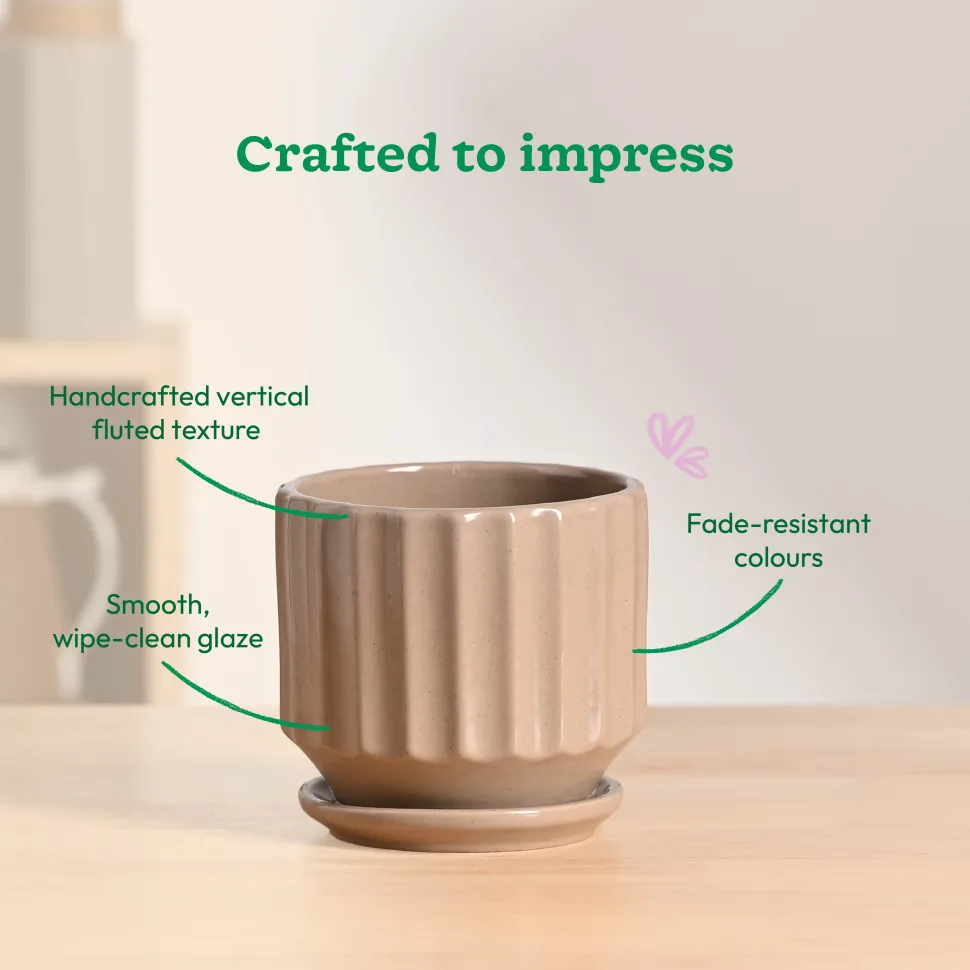Frosted Ceramic Pot