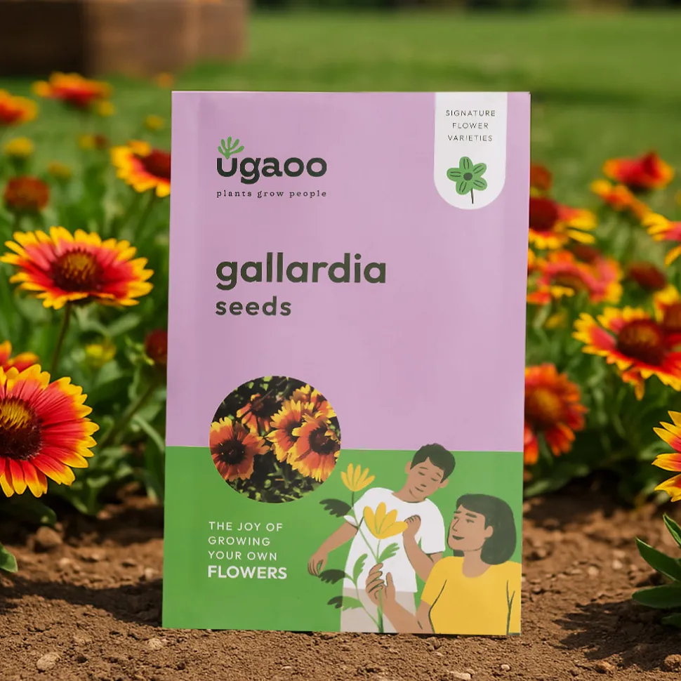 Gaillardia Seeds