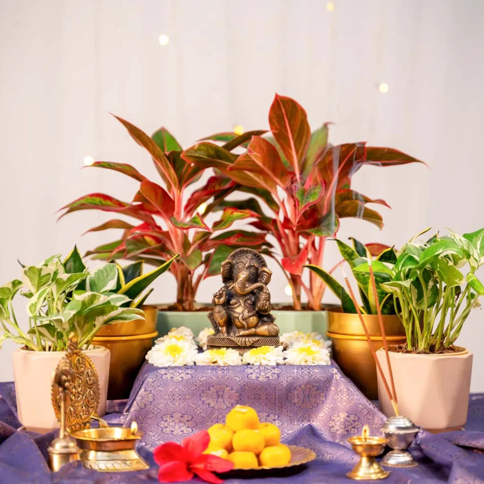 Ganpati Decor Festive Bundle