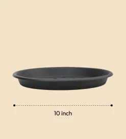 Gardening Plates - Black