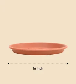 Gardening Plates - Terracotta Color