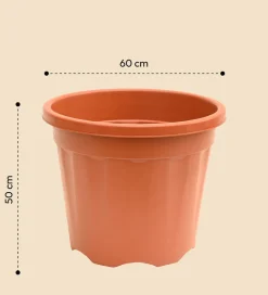 Gardening Pots - Terracotta Color