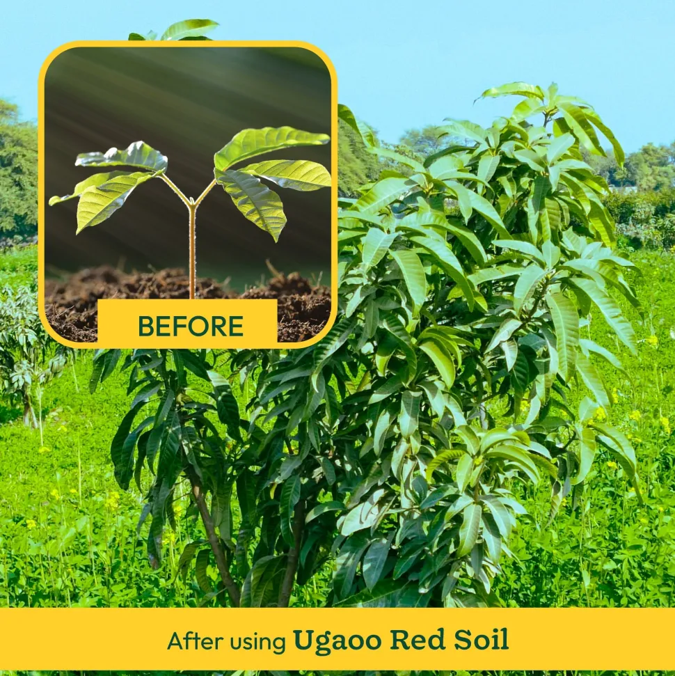 Garden Red Soil