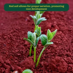Garden Red Soil