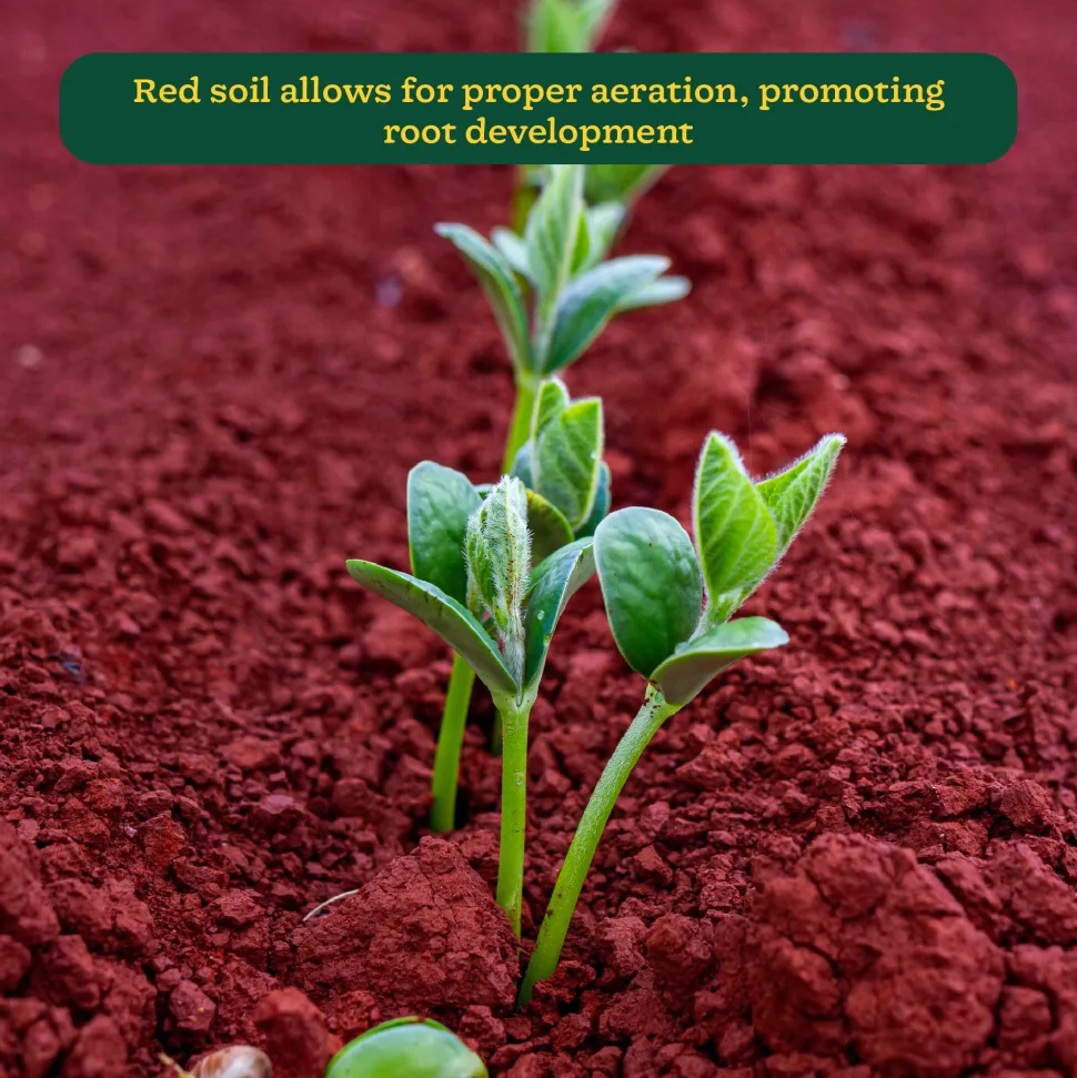Garden Red Soil