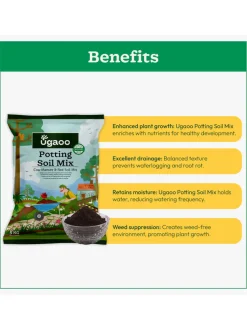 Garden Soil Mix
