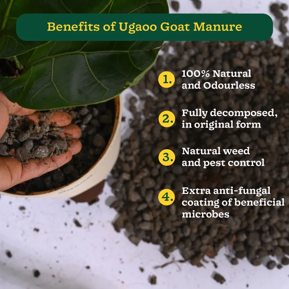 Goat Manure 1 Kg