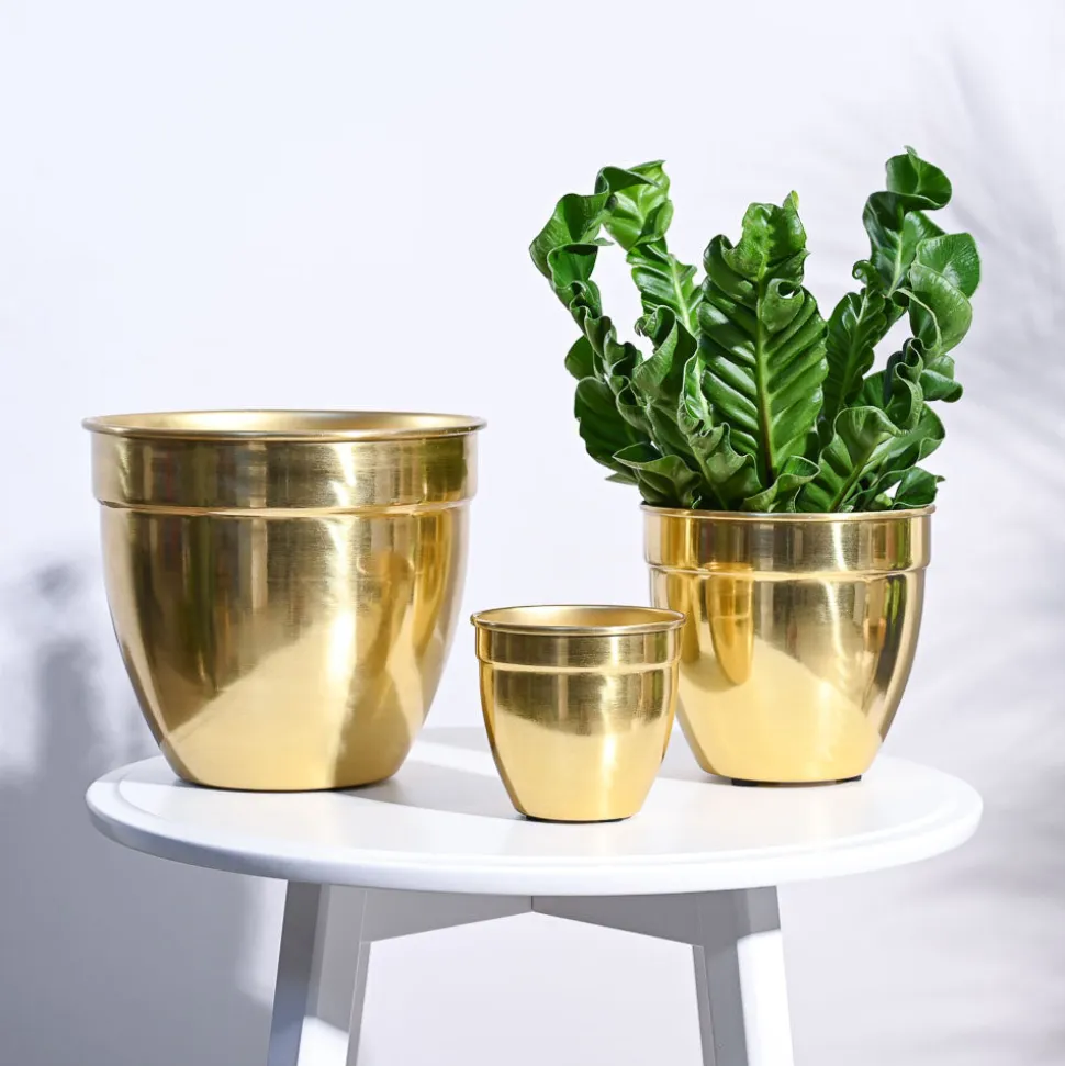 Golden Opulence Planter