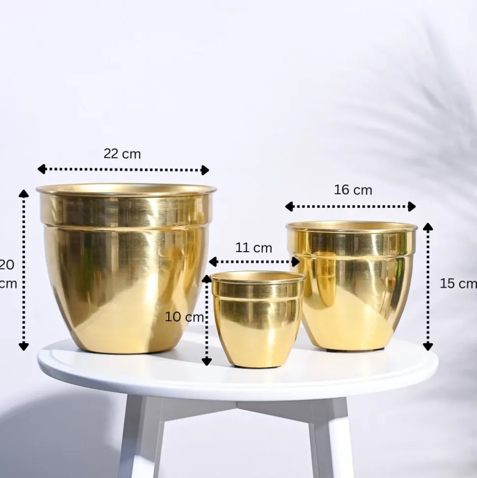 Golden Opulence Planter
