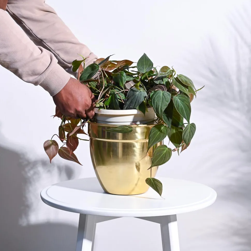 Golden Opulence Planter