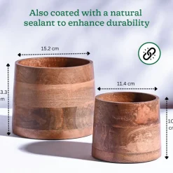 Gradient Wooden Planter - Set of 2