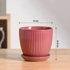 Grail Ceramic Pot