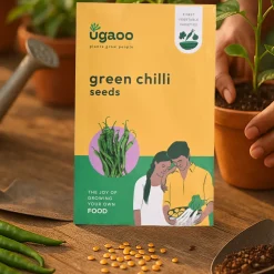 Green Chilli Seeds