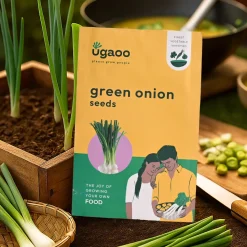 Green Onion Seeds (Leek)