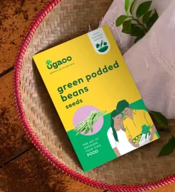 Green Podded Beans Seeds (Valor)