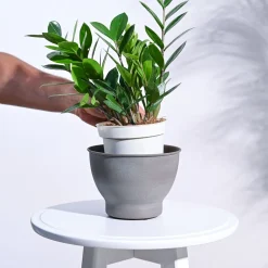 Gunmetal Goblet Planter