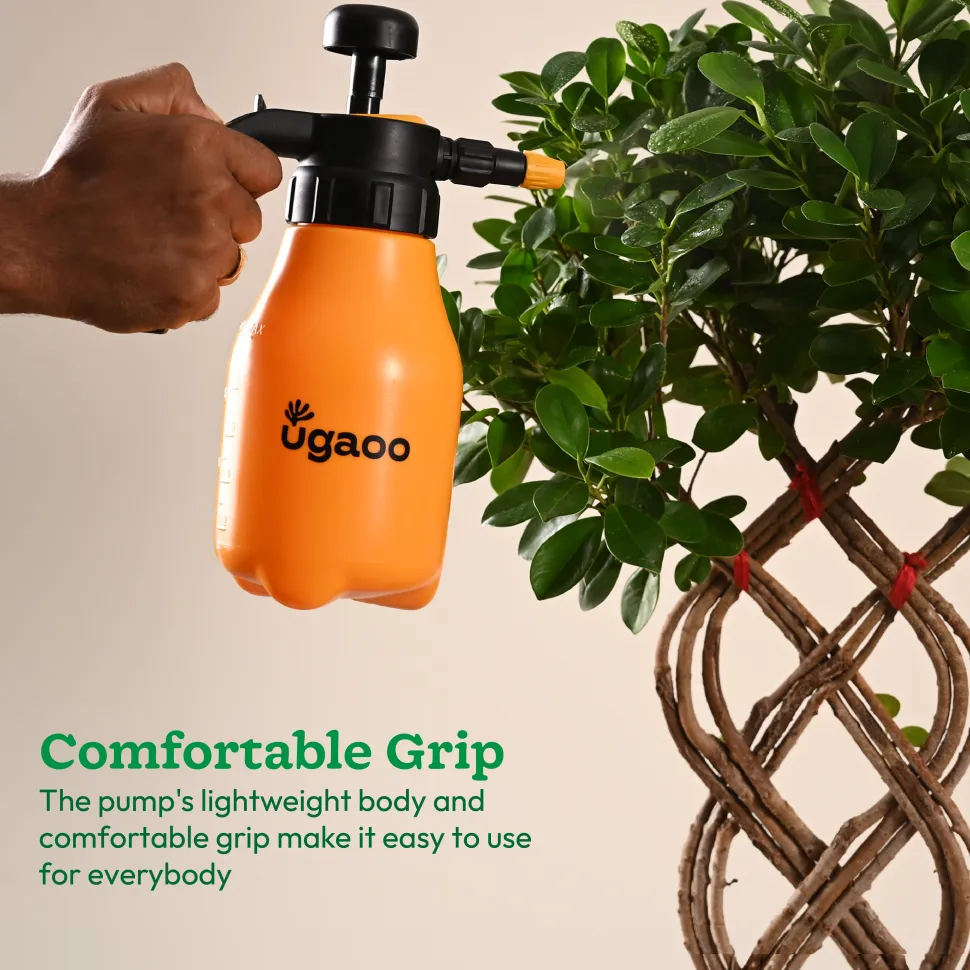 Handheld Pressure Spray Pump