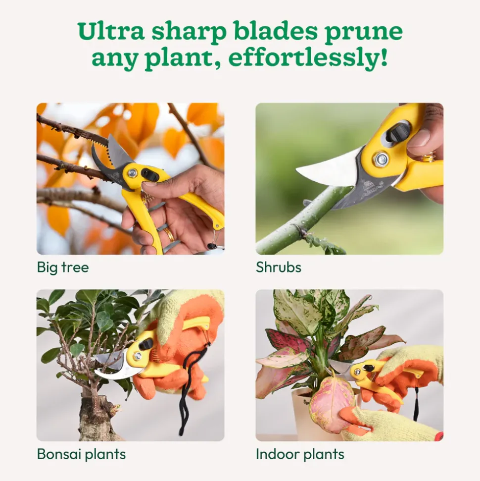 Hand Pruner