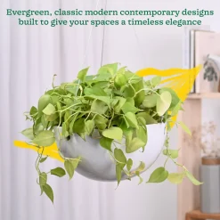 Hanging Ceramic Planters Petrichor Smite