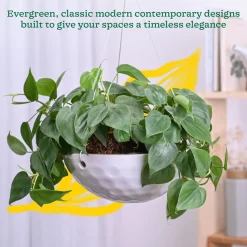 Hanging Ceramic Planters Petrichor Smite