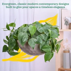 Hanging Ceramic Planters Petrichor Smite