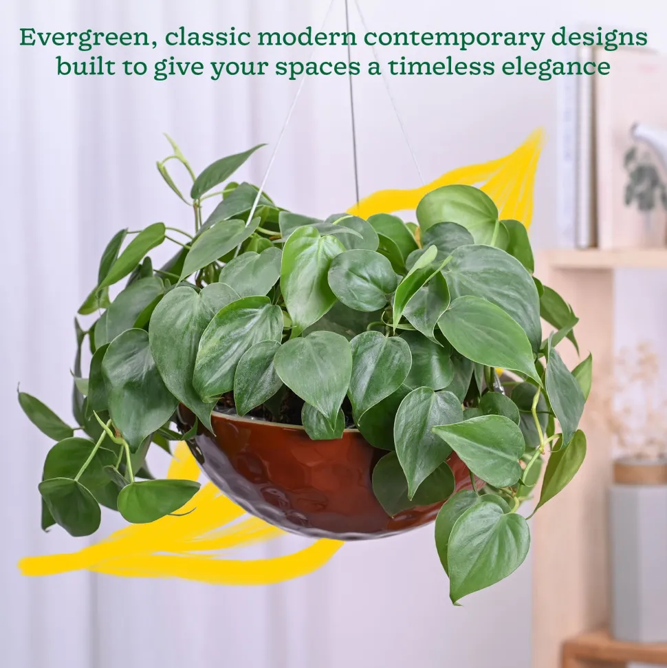 Hanging Ceramic Planters Petrichor Smite