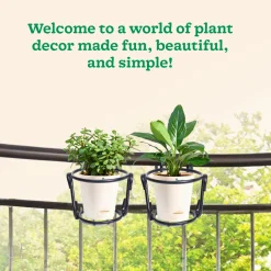 Hanging Plant Stands - Set of 2