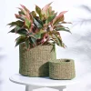 Heart Coir Planter - Set of 2