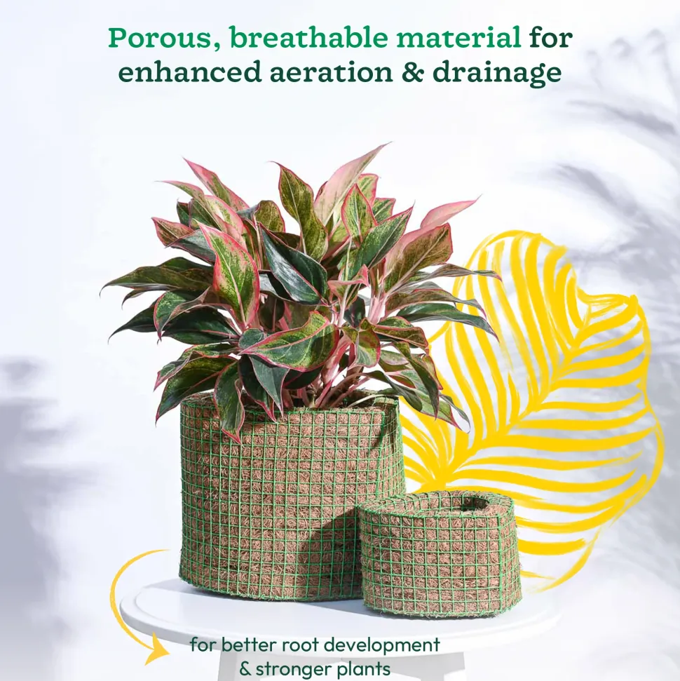 Heart Coir Planter - Set of 2