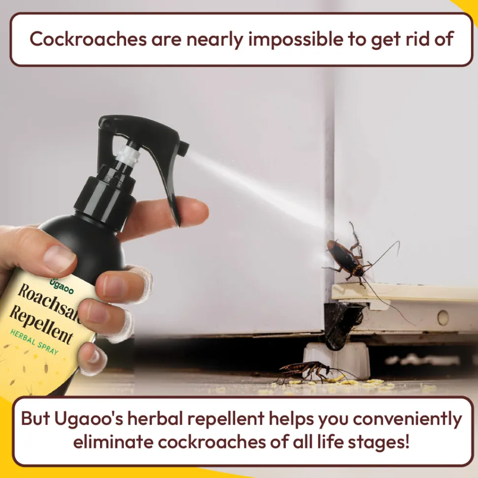 Herbal Cockroach Repellent Spray - 200ml
