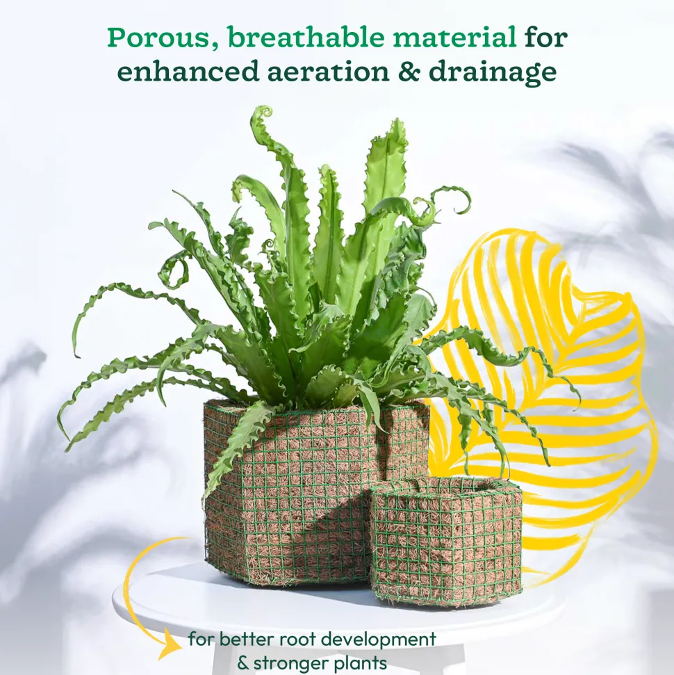 Hexa Coir Planter - Set of 2