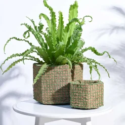 Hexa Coir Planter - Set of 2